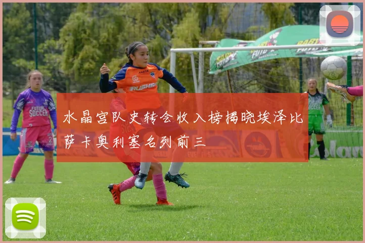 水晶宫队史转会收入榜揭晓埃泽比萨卡奥利塞名列前三