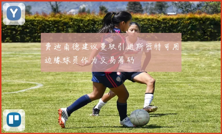 费迪南德建议曼联引进斯密特可用边缘球员作为交易筹码
