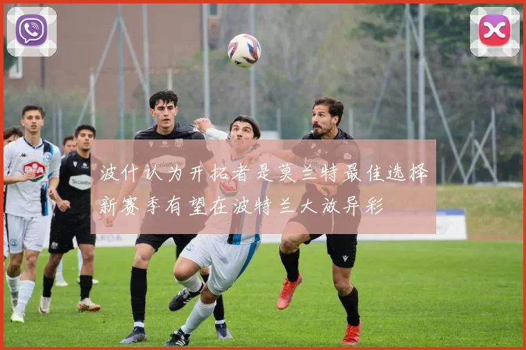 波什认为开拓者是莫兰特最佳选择新赛季有望在波特兰大放异彩